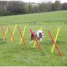 Výcvik Agility TUNEL překážka pro psy s úložnou taškou 5m/60cm 