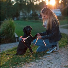 Obojek pro psy svítící a reflexní LED nabíjecí žlutý S-M