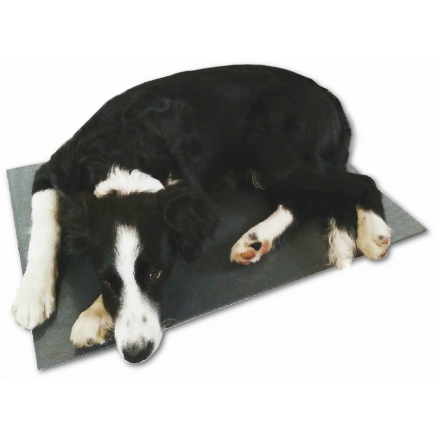 Podložka THERMODOG výhřevná deska pro psy plast 58x81cm 24V/50W