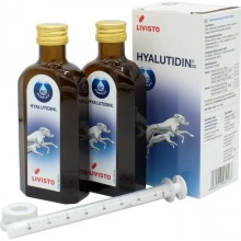 Hyalutidin DC Aktiv pro psy a kočky 2x125ml