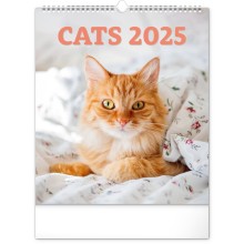 Nástěnný kalendář Kočky 2025, 30 x 34 cm