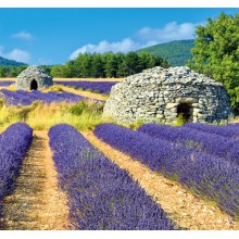 Kalendář Provence - vázanka