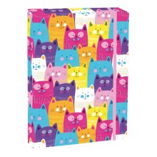 Box na sešity s klopou A5 Kittens Box na sešity s klopou A5 Kittens