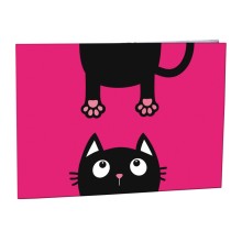 Desky na číslice Crazy Kitten