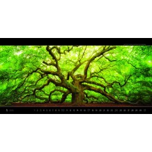 Kalendář Panoramaphoto