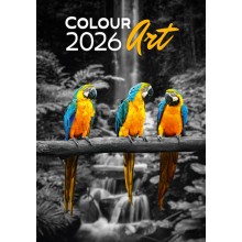 Kalendář Colour Art