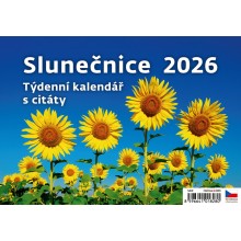Plánovací/Pracovní