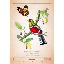 Kalendář Aviarium