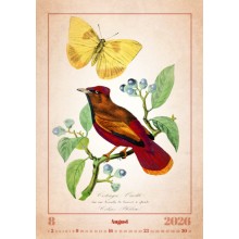 Kalendář Aviarium