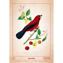 Kalendář Aviarium