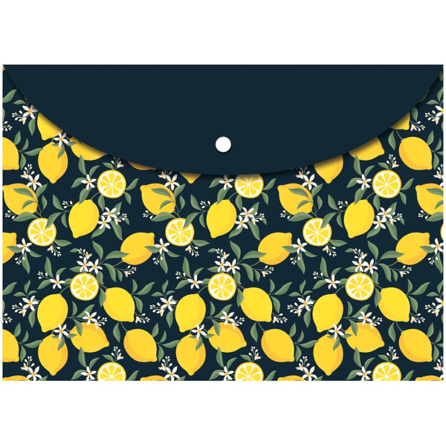 Pouzdro na dokumenty A4 Fresh