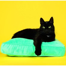 Kalendář Cats