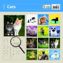 Kalendář Cats
