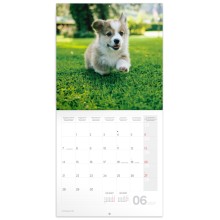 Presco