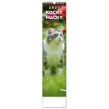 NOTIQUE Nástěnný kalendář Kočky 2027, 12 x 48 cm NOTIQUE Nástěnný kalendář Kočky 2027, 12 x 48 cm