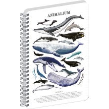 NOTIQUE Spirálový blok Animalium – Pod mořem, linkovaný, A4 NOTIQUE Spirálový blok Animalium – Pod mořem, linkovaný, A4