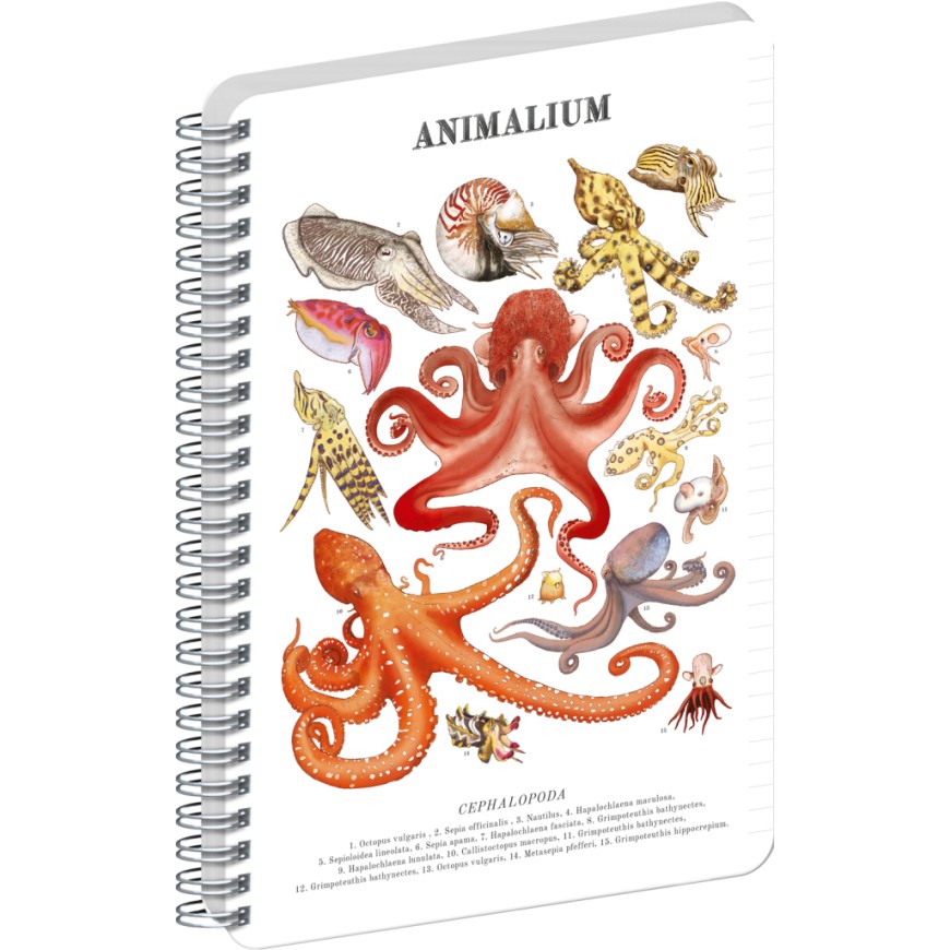 NOTIQUE Spirálový blok Animalium – Hlavonožci, linkovaný, A5