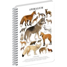 NOTIQUE Spirálový blok Animalium – Psovité šelmy, linkovaný, A5 NOTIQUE Spirálový blok Animalium – Psovité šelmy, linkovaný, A5