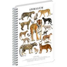 NOTIQUE Spirálový blok Animalium – Kočkovité šelmy, čtverečkovaný, A5 NOTIQUE Spirálový blok Animalium – Kočkovité šelmy, čtverečkovaný, A5
