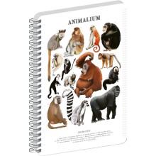 NOTIQUE Spirálový blok Animalium – Primáti, čtverečkovaný, A5 NOTIQUE Spirálový blok Animalium – Primáti, čtverečkovaný, A5