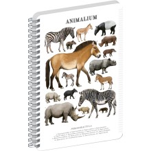 NOTIQUE Spirálový blok Animalium – Lichokopytníci, čtverečkovaný, A5 NOTIQUE Spirálový blok Animalium – Lichokopytníci, čtverečkovaný, A5