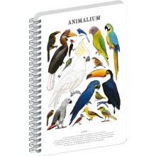 NOTIQUE Spirálový blok Animalium – Ptáci, čistý, A5 NOTIQUE Spirálový blok Animalium – Ptáci, čistý, A5