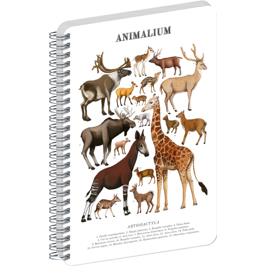 NOTIQUE Spirálový blok Animalium – Sudokopytníci, čistý, A5