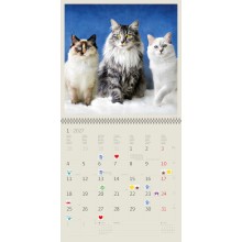 Kalendář Cats