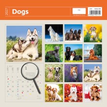 Kalendář Dogs