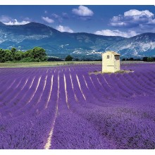 Kalendář Provence - vázanka