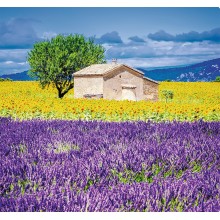 Kalendář Provence - vázanka