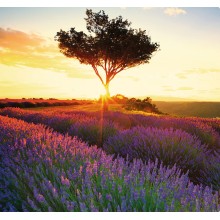 Kalendář Provence - vázanka