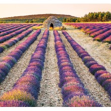 Kalendář Provence - vázanka