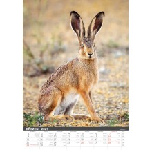 Myslivecký kalendář