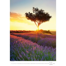 Kalendář Provence