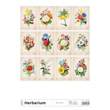 Kalendář Herbarium