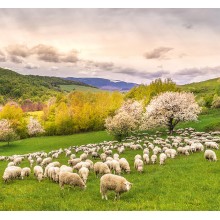 Slovenský kalendár Slovensko - viazanka