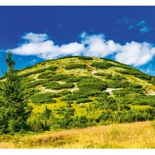 Slovenský kalendár Slovensko - viazanka